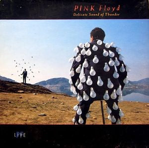Pink Floyd Pink Floyd - Delicate Sound Of Thunder